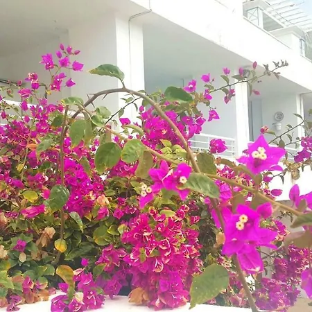 Pearl Apartman Puerto del Carmen