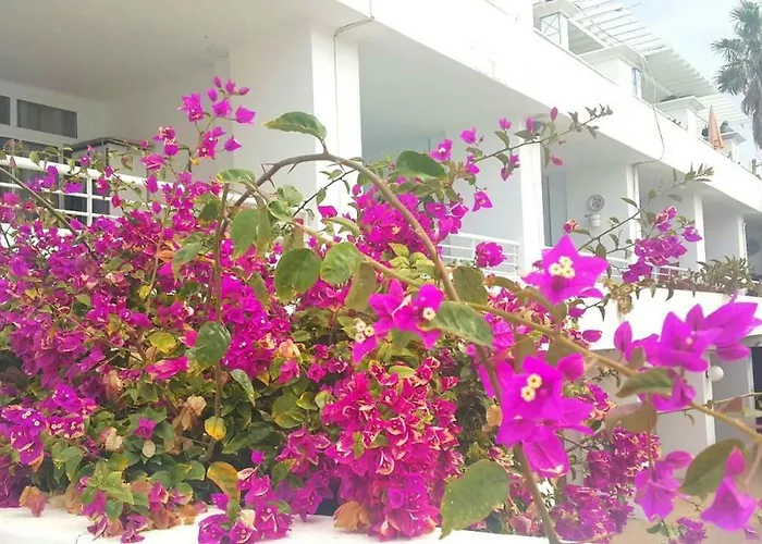 Pearl Apartament Puerto del Carmen (Lanzarote)